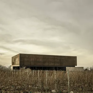 Modern minimalist building with a concrete exterior in an open field.