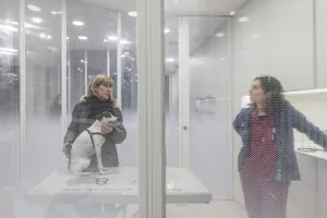 A woman with a dog standing behind a glass-panelled wall in an animal clinic.