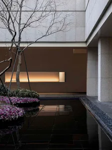 Modern minimalist interior with concrete floor and wall, featuring a tree and illuminated wall light.