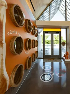 Minimalist lobby with wood and glass elements, featuring round openings in a light-colored wall and a glass double-door entra