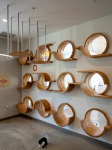 Modern, wooden shelves and cat perches designed for feline comfort and play.