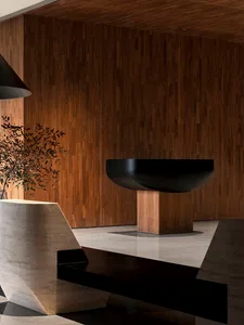 Modern industrial-style lobby featuring wooden walls and a black bowl-shaped feature.