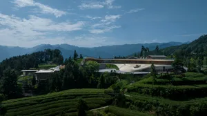 A modern architecture resort with terraces and greenery.
