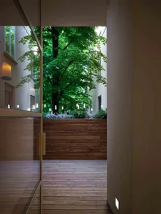 A modern minimalist patio area featuring wooden flooring and greenery.