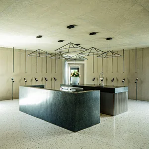 A modern kitchen with a black granite countertop and concrete walls.