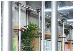 Metal scaffolding and greenery in an office space