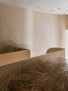 Modern minimalist interior featuring concrete planters filled with dried grass.