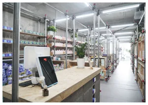 Interior view of a warehouse with minimalist design, concrete walls, metal beams, and wooden shelves.