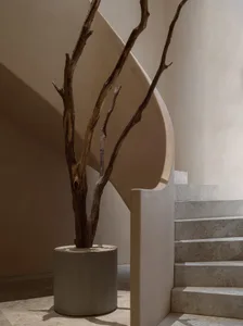 A modern interior with a concrete staircase and tree