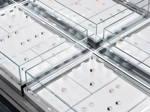 A display of jewelry rings in glass cases.