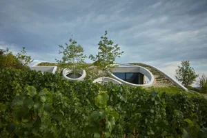 A modern house with a green roof surrounded by grape vines and trees.