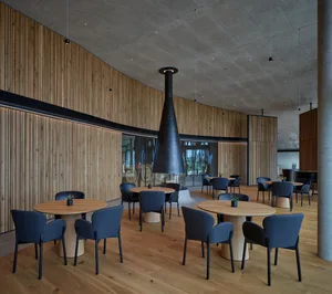 Round tables surrounded by blue chairs within a contemporary restaurant interior