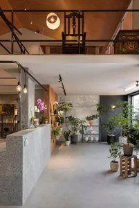 Modern shop interior with concrete walls and floor, featuring green plants and industrial lighting.