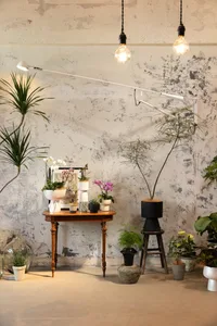 A rustic, industrial interior space with metallic elements and various plants on a table and floor.