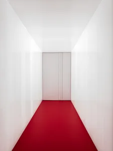A minimalist corridor with red carpet flooring and white walls, leading to a door.