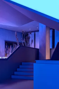 Modern staircase with concrete steps, purple and blue lighting, and dried grass plants.