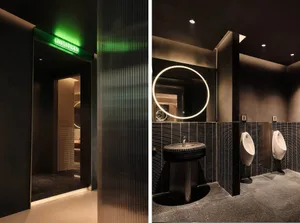 Modern minimalist washroom with metal elements