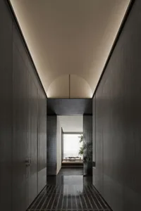 A modern dark wood corridor with an arched ceiling and glossy floor.