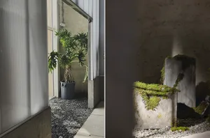 A minimalist lobby featuring a concrete interior design with a potted plant in a black container and a concrete structure wit