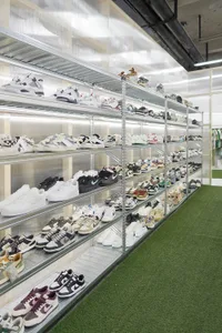 鞋店內有金屬層架、玻璃牆，以及陳列的各式鞋款。