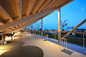 Modern interior design with walnut wood accents.