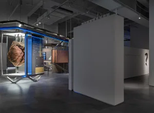 Modern exhibition display with architectural elements and a rock sample.