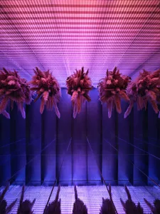 A minimalist interior design featuring purple lighting and dried floral arrangements.