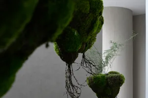 A modern greenhouse interior with moss-covered plants.