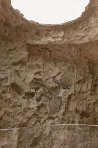 A fossilized bird is depicted with wings spread on a rock wall in a museum setting.