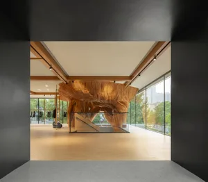 A commercial space with a large, natural wood feature