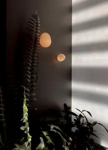 Modern indoor wall lights and a diverse plant setup.