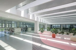 Interior view of a modern office space featuring glass walls, concrete flooring, and various plants.