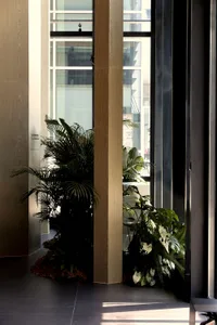 A modern office space featuring wood and glass elements and decorative plants.
