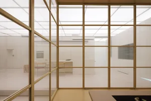 Modern minimalist living room with glass walls.
