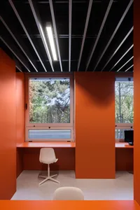 A minimalist office interior with orange walls and a window overlooking trees.