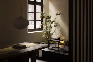 A modern living room featuring a wooden coffee table, potted plants, and a window with natural light.