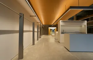 Modern architectural interior with timber ceiling and white walls.