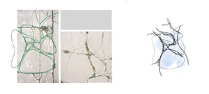 Concrete cracks in a minimalist architectural floor plan.