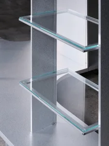 Modern glass bookshelf