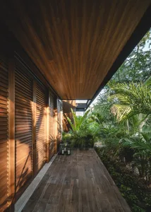 A minimalist garden path made of wood surrounded by green plants, offering a serene outdoor space.
