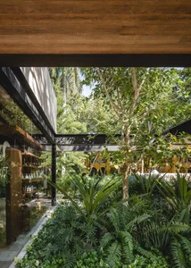 A minimalist café with a nature-inspired design featuring wood and glass materials.
