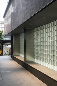 Modern exterior design featuring glass blocks and concrete walls