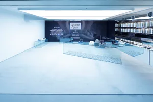 A minimalist retail store featuring modern, industrial-style concrete interiors.