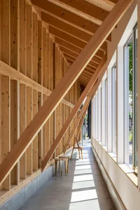 Modern wooden corridor with exposed beams and sunlight streaming through windows.