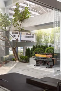 A modern courtyard featuring a tree and a metal structure with glass walls.