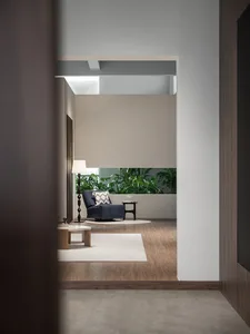 Modern minimalist living room with dark wooden flooring, a single upholstered chair, and potted plants.