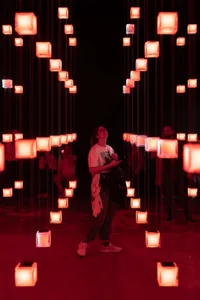 A person standing amidst illuminated light cubes hanging from the ceiling in an immersive installation.