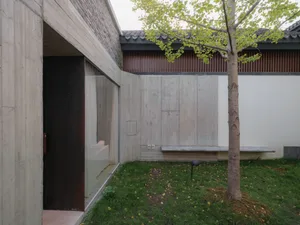 Exterior and interior design featuring modern concrete walls and a small tree in a courtyard.