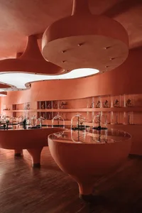 A modern retail storefront featuring glass display cases and illuminated sculptures.