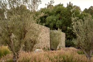 A minimalist garden featuring a rock wall and tall grasses surrounded by trees.
